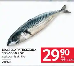 Selgros Makrela patroszona oferta
