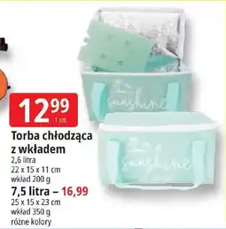 E.Leclerc Torba chłodząca z wkładem oferta