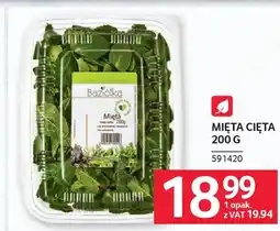 Selgros Baziółka Mięta cięta oferta