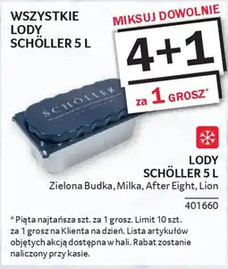 Selgros Schöller Lody oferta