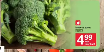 Selgros Brokuł oferta