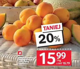 Selgros Morela oferta