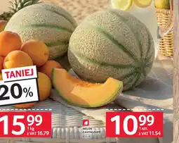 Selgros Melon cantaloupe oferta