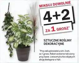 Selgros Sztuczne Rośliny Dekoracyjne oferta
