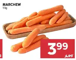 Stokrotka Marchew oferta