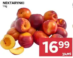 Stokrotka Nektarynki oferta