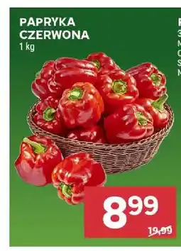 Stokrotka Papryka czerwona oferta