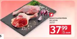 Selgros Nogaz kaczki pekin oferta