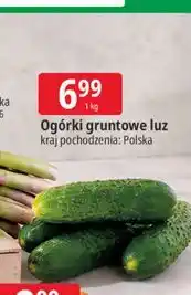 E.Leclerc Ogórki gruntowe luz oferta