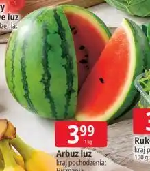 E.Leclerc Arbuz luz oferta