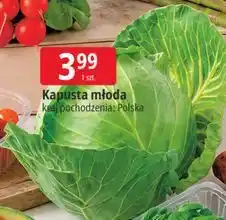 E.Leclerc Kapusta młoda oferta