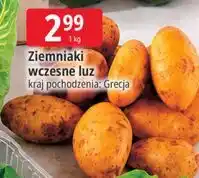 E.Leclerc Ziemniaki wczesne luz oferta