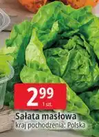 E.Leclerc Sałata masłowa oferta