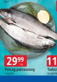 E.Leclerc Pstrąg patroszony oferta
