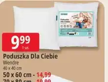 E.Leclerc Poduszka Dla Ciebie oferta