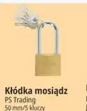 E.Leclerc Kłódka mosiądz PS Trading 50 mm/5 kluczy oferta