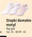 E.Leclerc Stopki damskie motyl Raj-pol oferta
