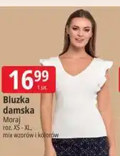 E.Leclerc Bluzka damska Moraj oferta