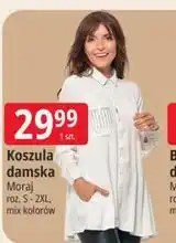E.Leclerc Koszula damska Moraj oferta
