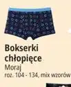 E.Leclerc Bokserki chłopięce Moraj oferta