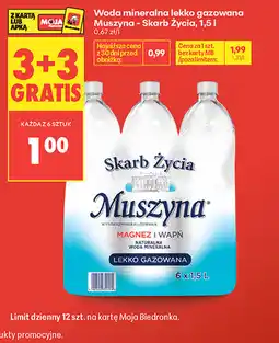 Biedronka Woda mineralna lekko gazowana Muszyna - Skarb Życia oferta