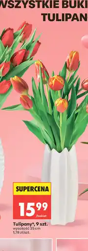 Biedronka Tulipany, 9 szt oferta