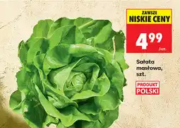 Biedronka Sałata masłowa, szt oferta