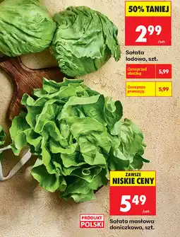 Biedronka Sałata masłowa doniczkowa, szt oferta