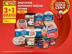 Biedronka Wszystkie konserwy mięsne i rybne oferta