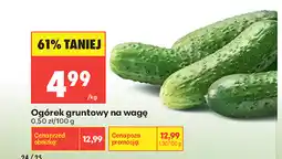 Biedronka Ogórek gruntowy na wagę oferta