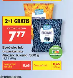 Biedronka Borówka lub brzoskwinia Mroźna Kraina oferta