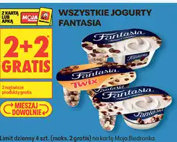 Biedronka Wszystkie jogurty Fantasia oferta