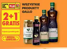 Biedronka Wszystkie produkty Gallo oferta