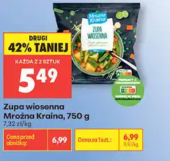 Biedronka Zupa wiosenna Mroźna Kraina oferta