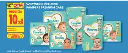 Biedronka Wszystkie pieluszki Pampers Premium Care oferta