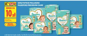 Biedronka Wszystkie pieluszki Pampers Premium Care oferta