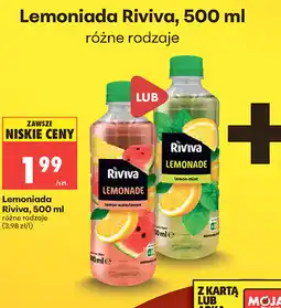 Biedronka Lemoniada Riviva oferta