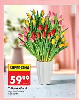 Biedronka Tulipan, 45 szt oferta