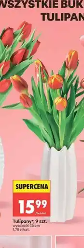 Biedronka Tulipany, 9 szt oferta