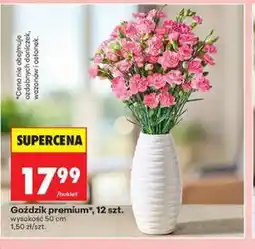 Biedronka Goździk premium, 12 szt oferta