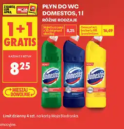 Biedronka PŁYN DO WC DOMESTOS oferta