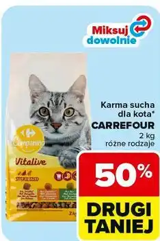 Carrefour Karma sucha dla kota Carrefour 2 kg różne rodzaje oferta