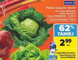 Carrefour Polska kapusta młoda oferta