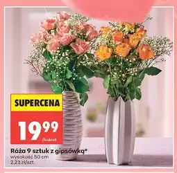 Biedronka Róża 9 sztuk z gipsówką wysokość 50cm oferta