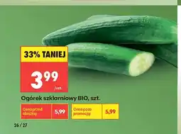 Biedronka Ogórek szklarniowy BIO oferta