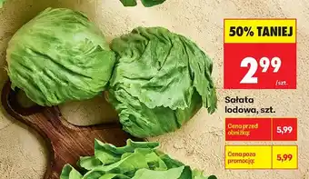 Biedronka Sałata lodowa oferta
