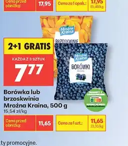 Biedronka Brzoskwinia Mroźna Kraina oferta