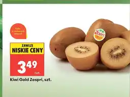 Biedronka Kiwi Gold Zespri oferta