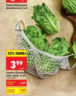 Biedronka Sałata rzymska mini oferta