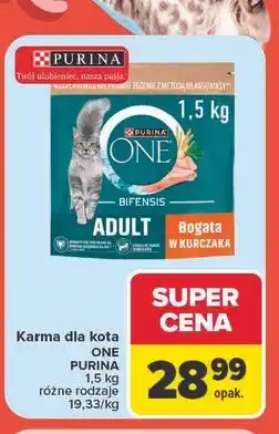 Carrefour Karma dla kota ONE PURINA oferta